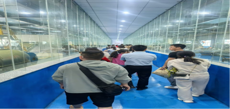 1769004230422033855.png image.png